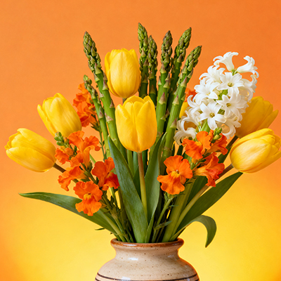 《郁金香传意，纪念每段值得珍藏的相遇》