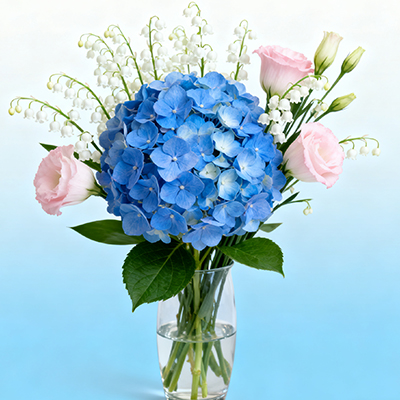 《洋桔梗含情，愿岁月温柔待你如初见》