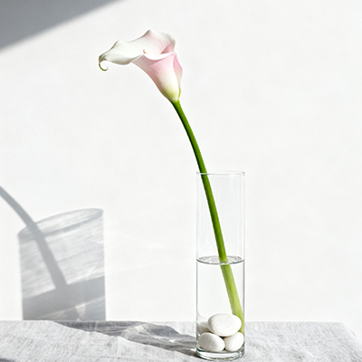 《康乃馨缀暖，致母亲：岁月温柔，感恩您的岁岁守护》