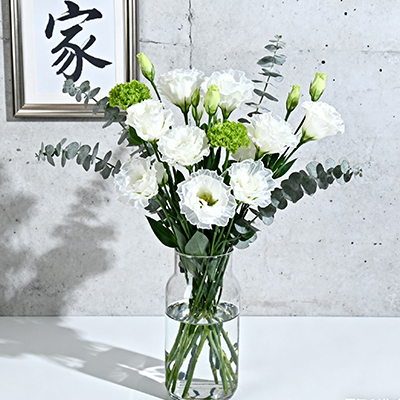 《百合映孝心，父亲节礼赞：如山沉默，感恩您的一路托举》