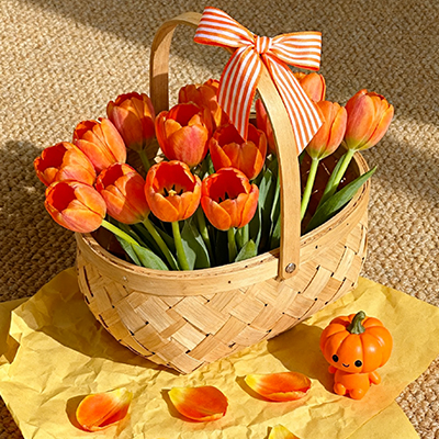 《卡罗拉玫瑰承誓言，订婚日贺：以花定情，余生为你》