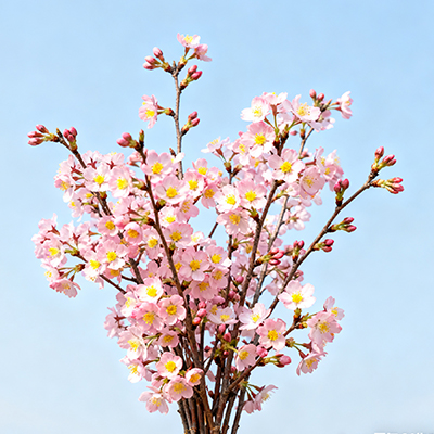 《窗台插枝洋桔梗，让居家时光满是温柔》