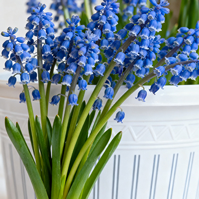 《厨房插把小蔷薇，烟火里也能藏浪漫》