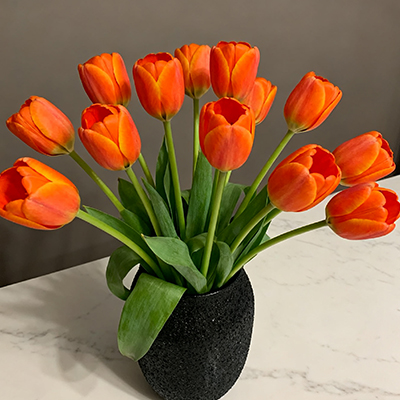 《茶几放束满天星，闲坐品茶添份雅致》