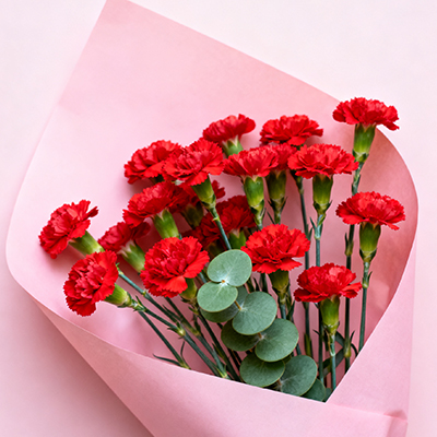 《闺蜜小聚摆雏菊，闲谈时光更显温馨》