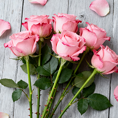 《书桌添支小海棠，写稿时也有诗意相伴》